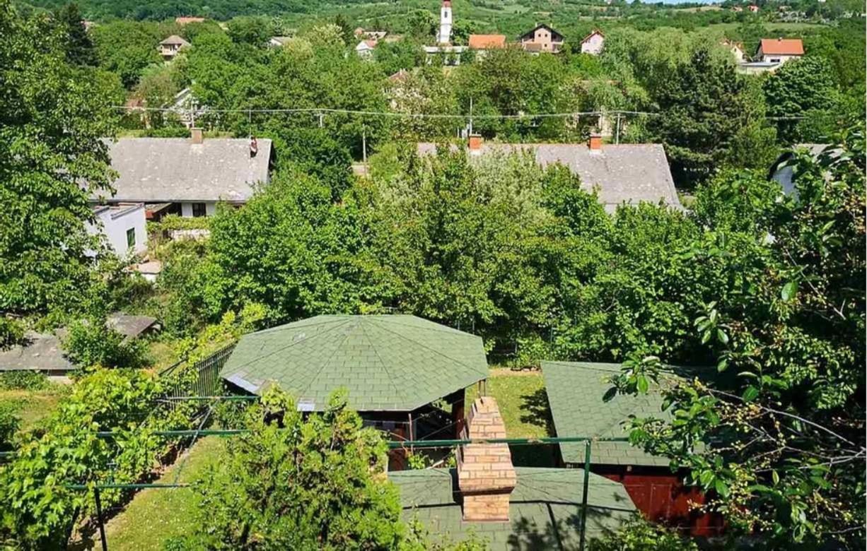 Apartmani Zapis Vrdnik Exterior photo